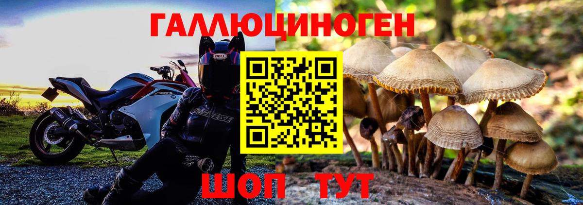 Псилоцибиновые грибы Psilocybe  где можно купить наркотик  Чехов  Вход с VPN  Галлюциногенные грибы Psilocybine cubensis 