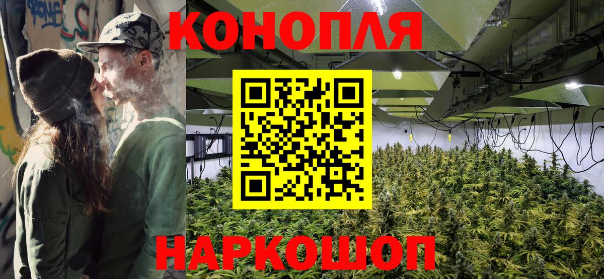 Конопля LSD WEED  Конопля план  Вход с VPN  Шишки марихуана SATIVA & INDICA  Канабис Amnesia  Чехов 